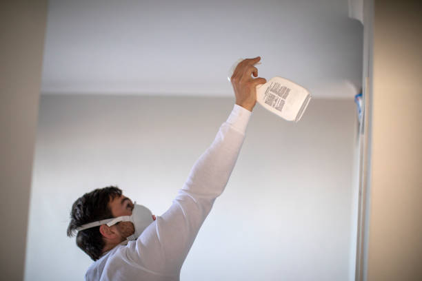 Best Industrial Mold Remediation in Ansonia, OH
