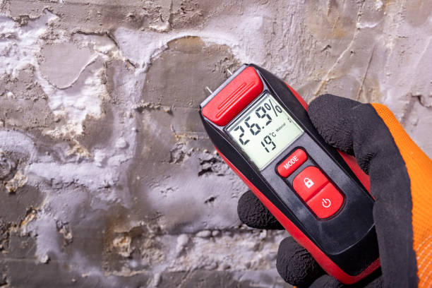 Best Mold Remediation for Schools in Ansonia, OH